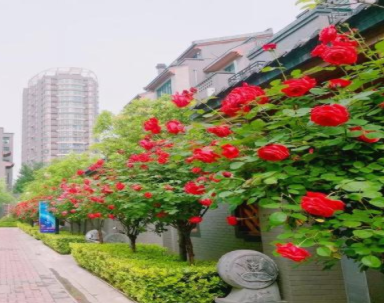 www.yaxin222.com